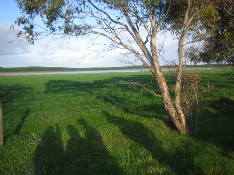 Pemandangan Australia