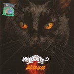 Kucing Alleycast Kucing Alleycast