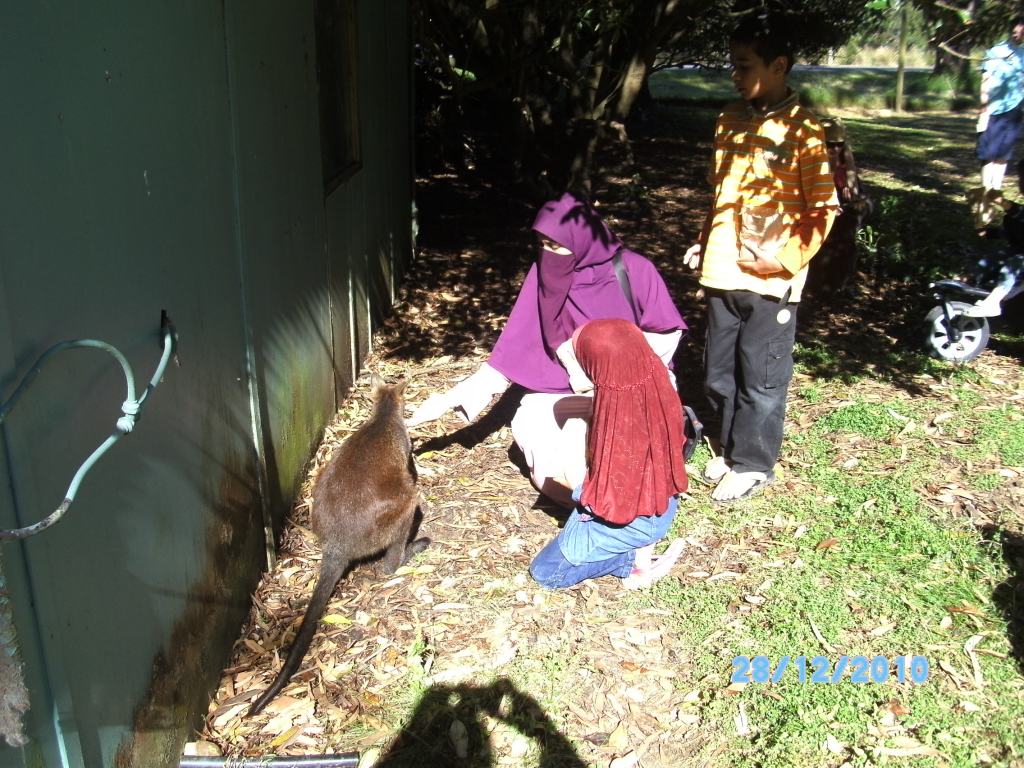 Purdah:  Hari Pertama&nbsp;Memakainya