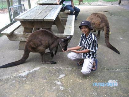 SANYO DIGITAL CAMERA