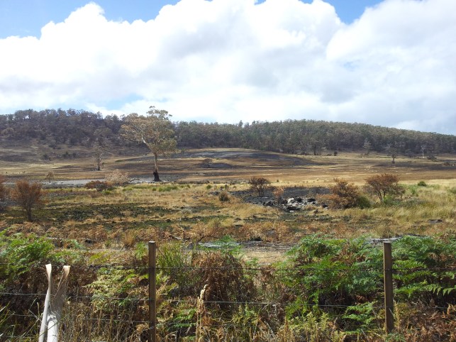 Bumi terbakar di Primrose Sands